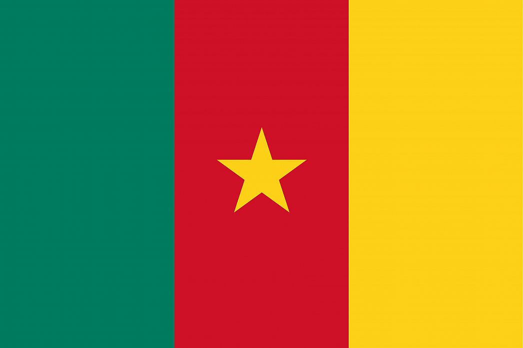 Flag of Cameroon