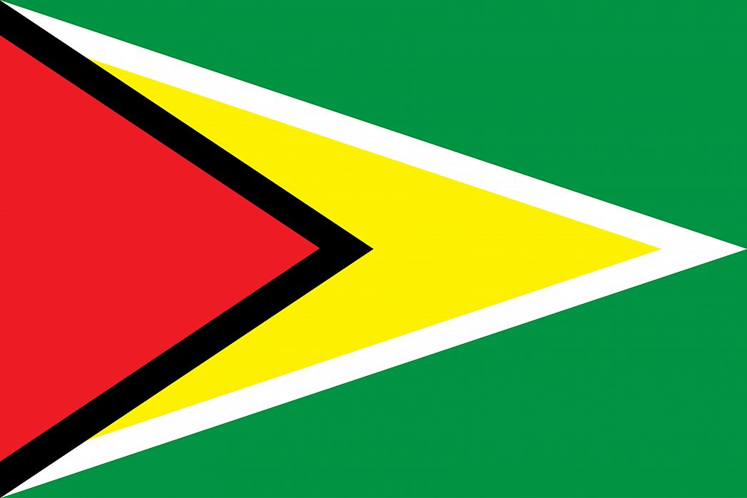 Flag of Guyana