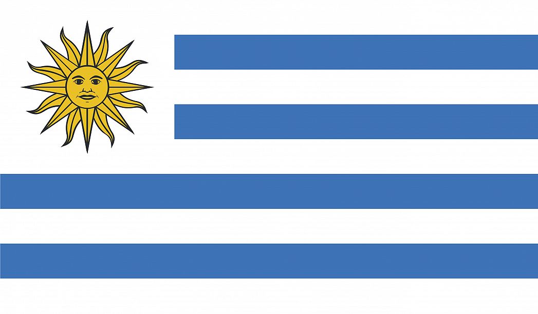 blue and white horizontal striped flag